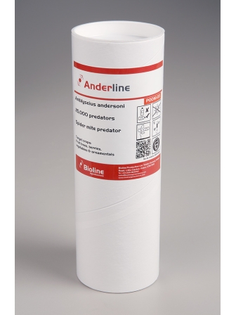 ANDERLINE - AMBLYSEIUS ANDERSONI 25.000 IND. BOTE