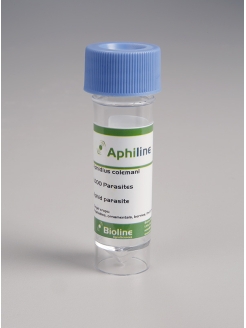 APHILINE - APHIDIUS COLEMANI/ 1000 Ind. VIAL